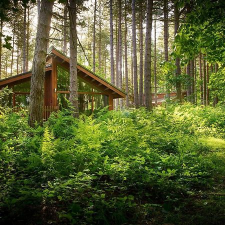 Blackwood Forest Cabins - Forest Holidays Popham Kültér fotó
