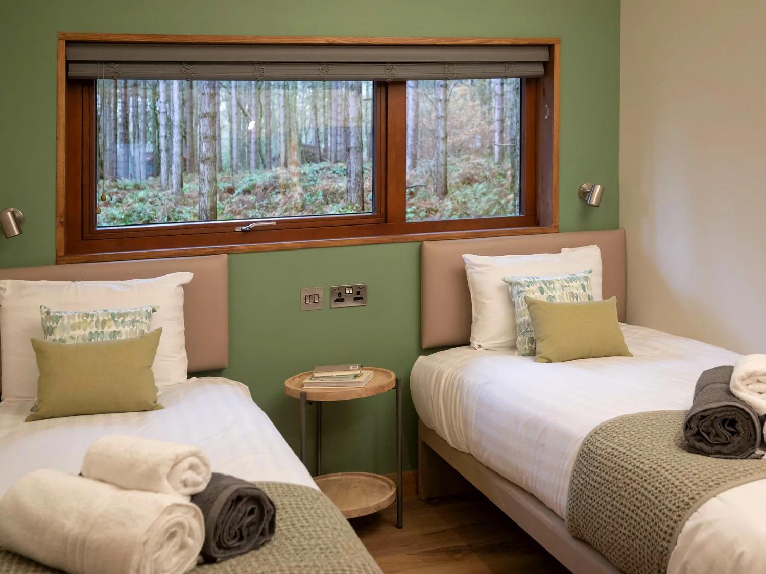 Blackwood Forest Cabins - Forest Holidays Popham Kültér fotó