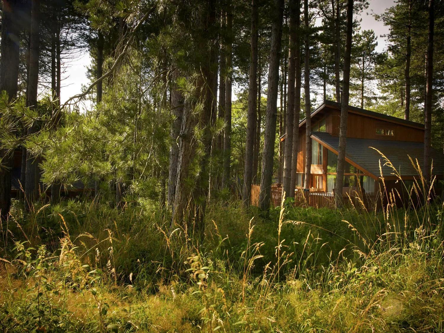 Blackwood Forest Cabins - Forest Holidays Popham Kültér fotó