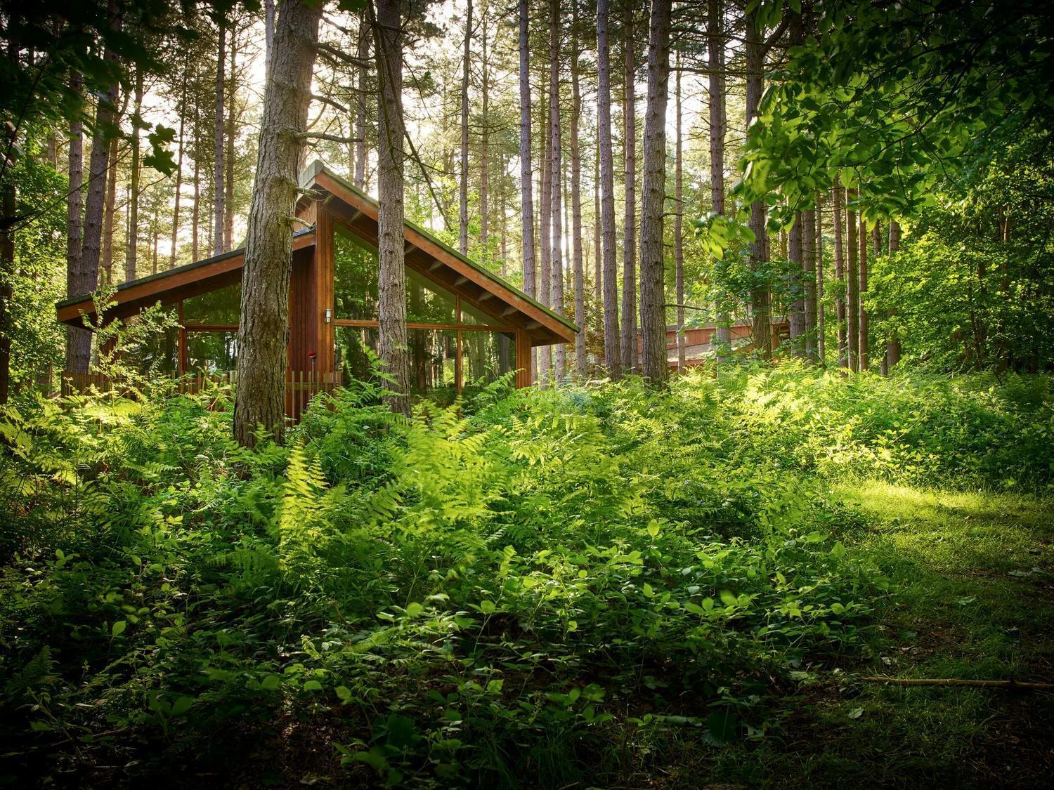 Blackwood Forest Cabins - Forest Holidays Popham Kültér fotó