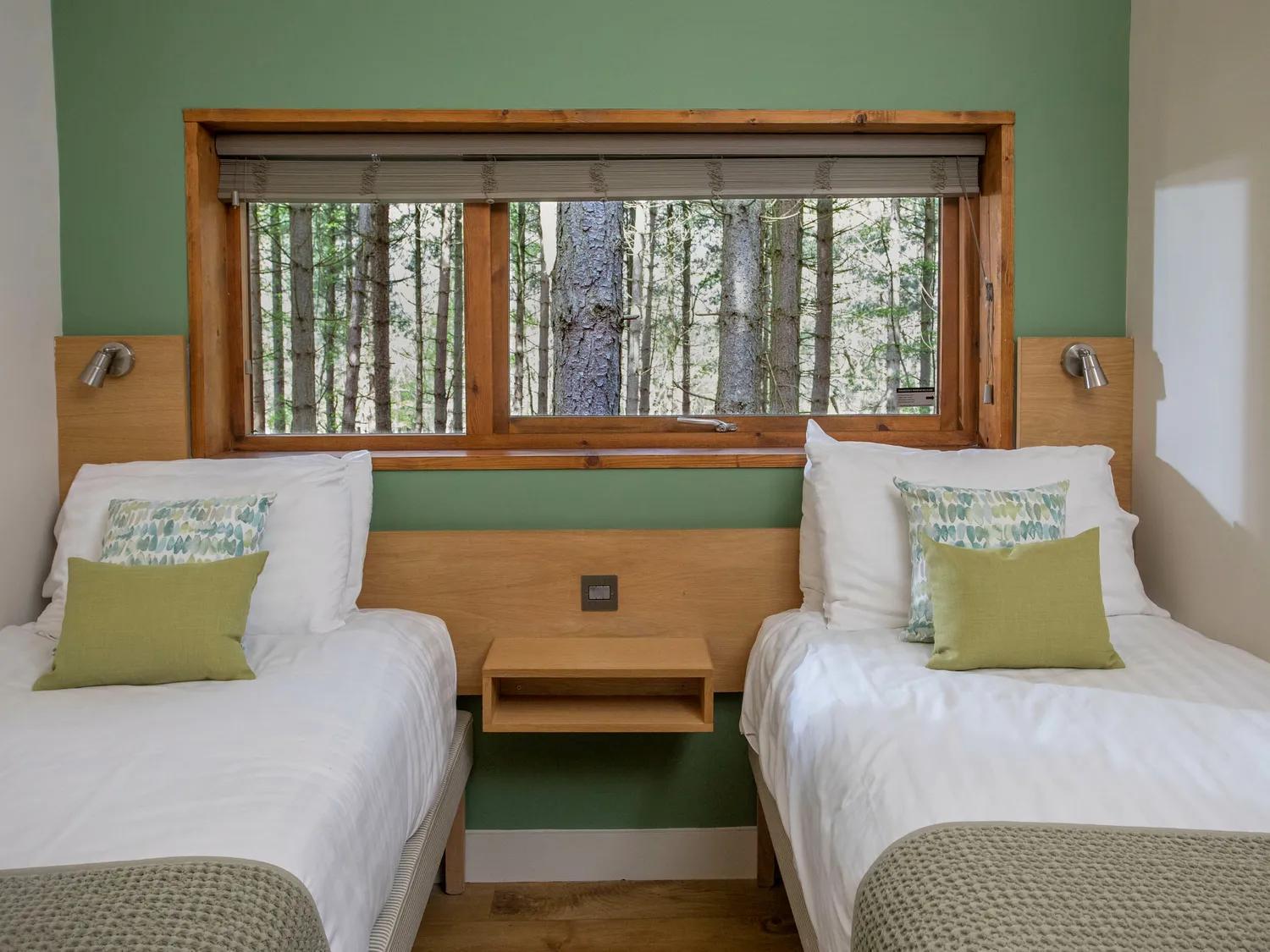Blackwood Forest Cabins - Forest Holidays Popham Kültér fotó