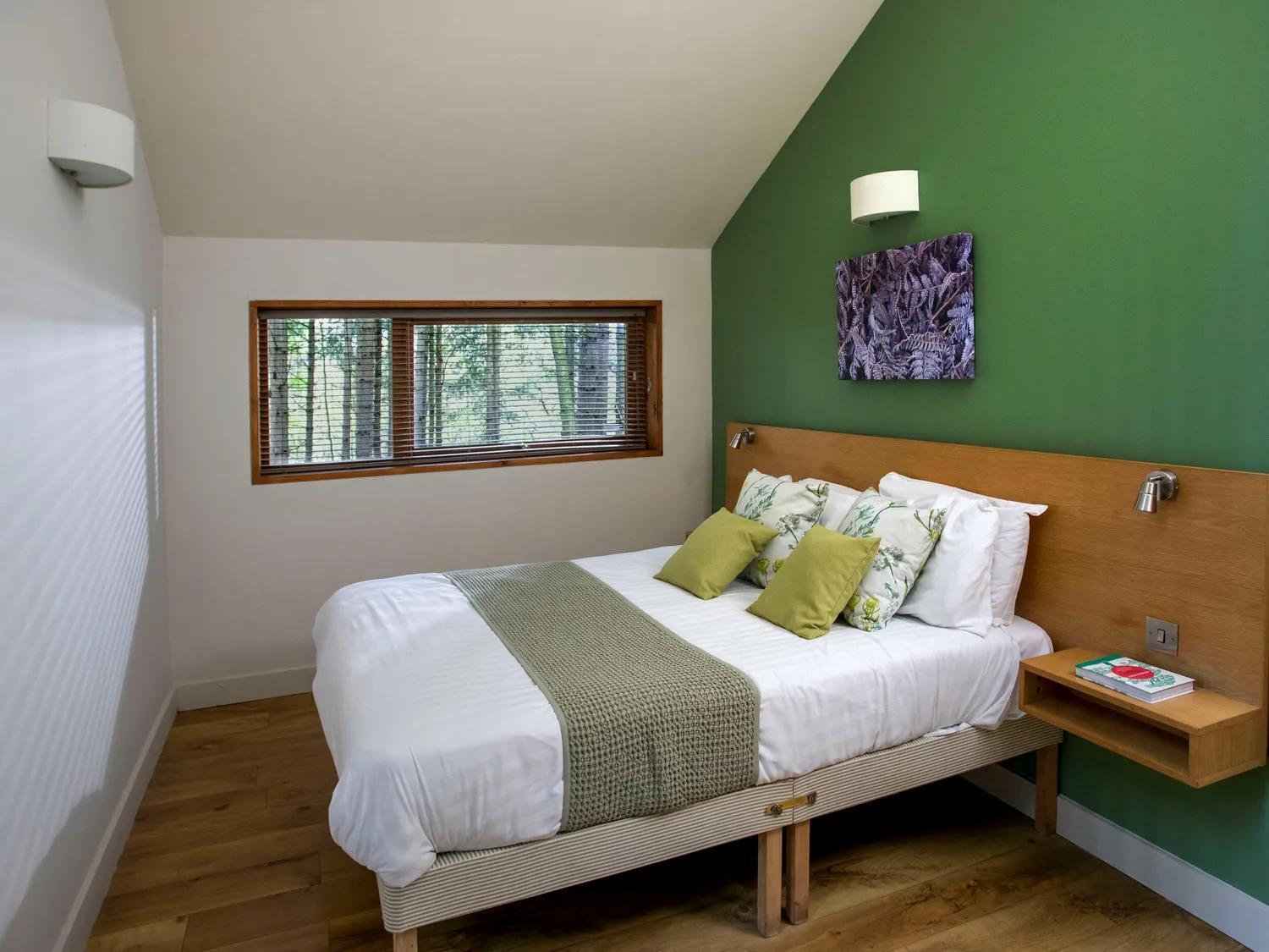 Blackwood Forest Cabins - Forest Holidays Popham Kültér fotó