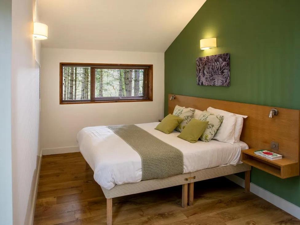 Blackwood Forest Cabins - Forest Holidays Popham Kültér fotó