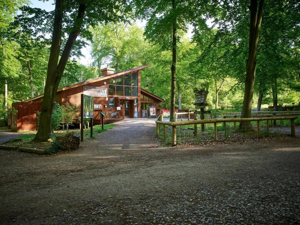 Blackwood Forest Cabins - Forest Holidays Popham Kültér fotó