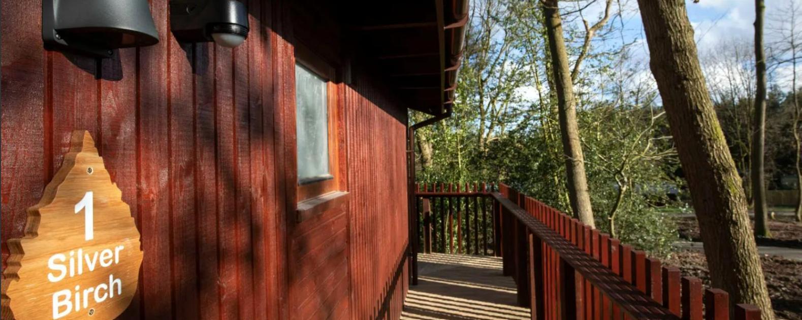 Blackwood Forest Cabins - Forest Holidays Popham Kültér fotó